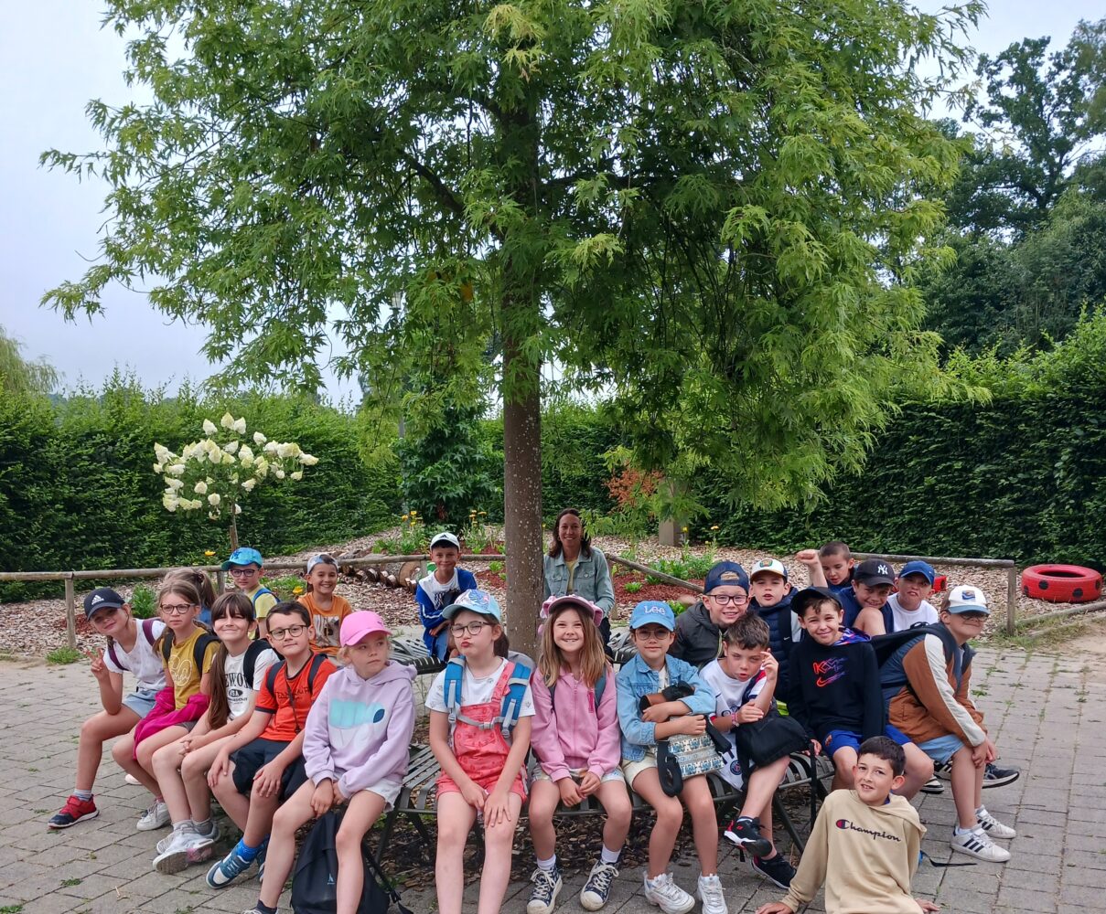 Une journée nature, culture et jeux pour les élèves de GS-CP-CE1-CE2
